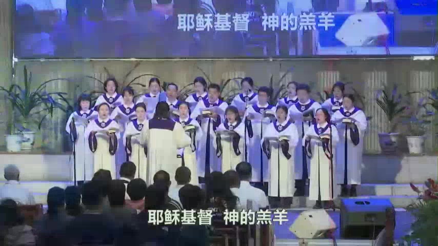 看哪，神的羔羊