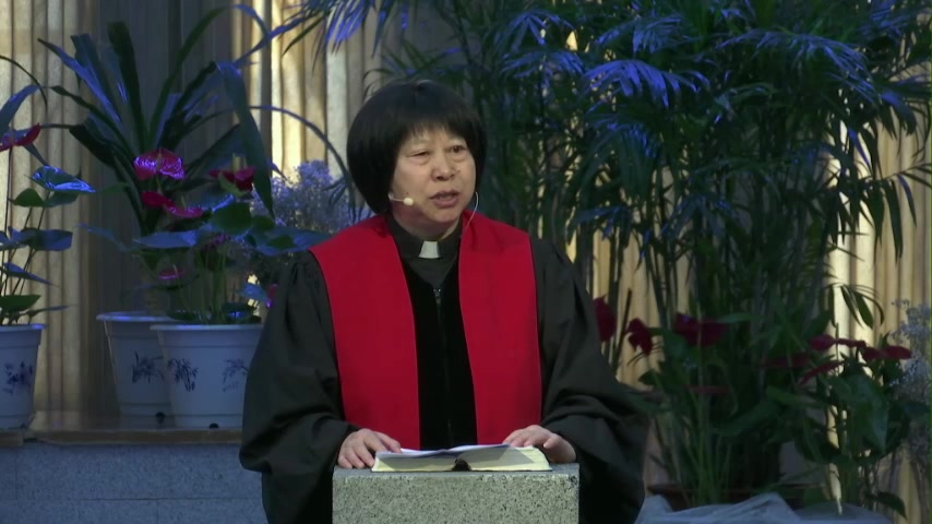 逼迫中的顺服