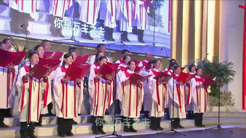 新的希望