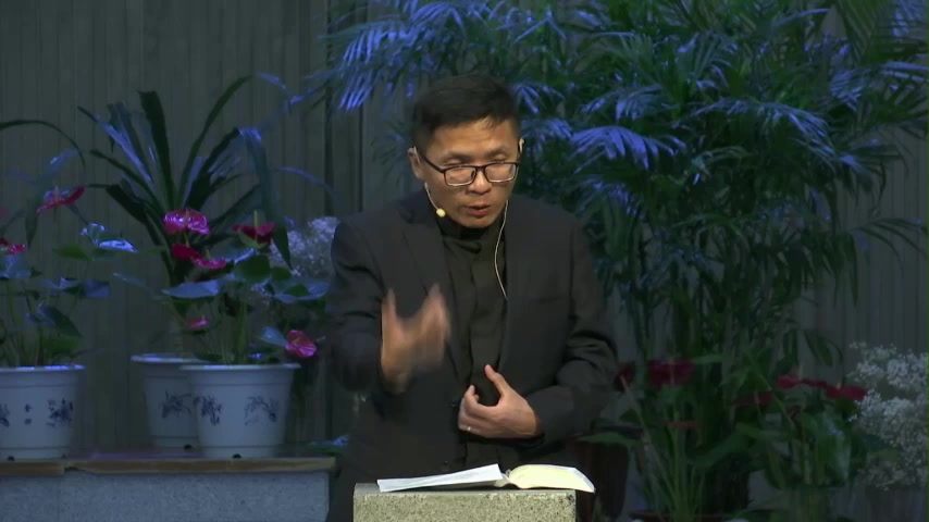 团契日崇拜：生命链接—葡萄树与枝子